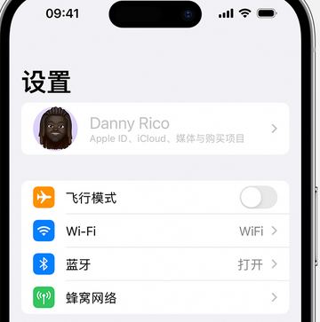 宽甸appleID维修服务iPhone设置中Apple ID显示为灰色无法使用 