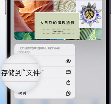 宽甸apple维修中心分享iPhone文件应用中存储和找到下载文件