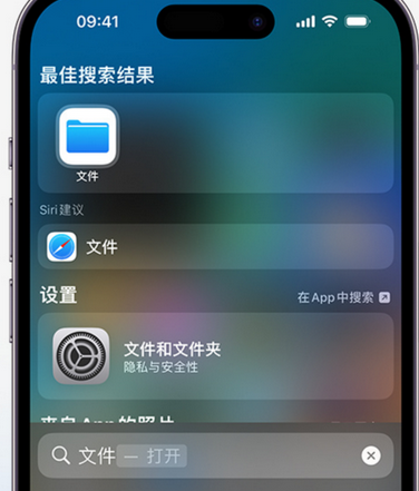 宽甸apple维修中心分享iPhone文件应用中存储和找到下载文件 