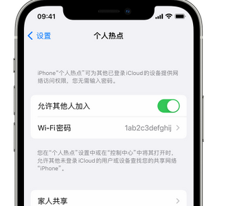 宽甸apple服务站点分享iPhone上个人热点丢失了怎么办