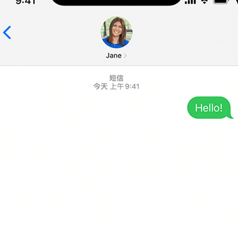 宽甸apple维修iPhone上无法正常发送iMessage信息