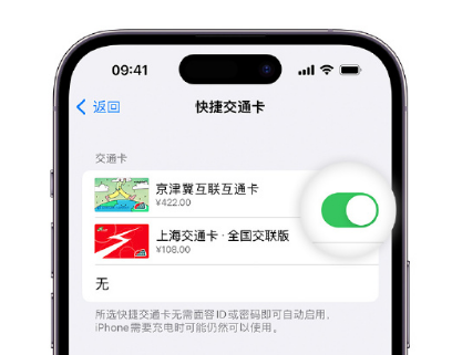 宽甸apple维修点分享iPhone上更换Apple Pay快捷交通卡手绘卡面 