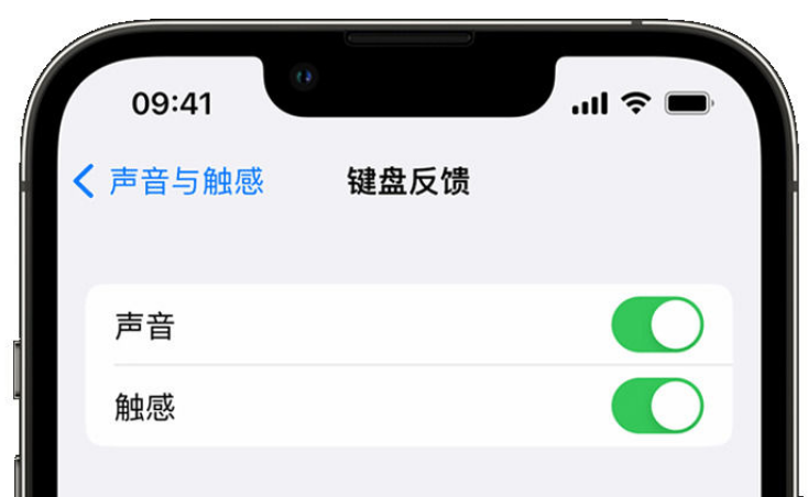 宽甸苹果手机维修分享iPhone 14触感键盘使用方法 