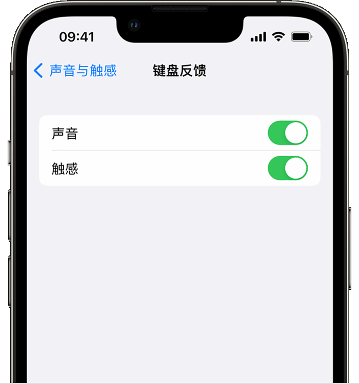 宽甸苹果14维修店分享如何在 iPhone 14 机型中使用触感键盘 