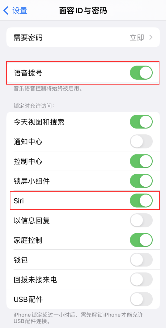 宽甸苹果维修网点分享不解锁 iPhone 的情况下通过 Siri 拨打电话的方法 