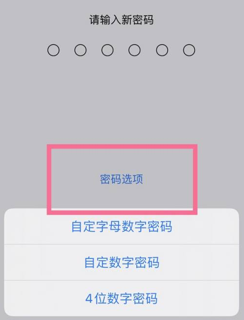 宽甸苹果14维修分享iPhone 14plus设置密码的方法 