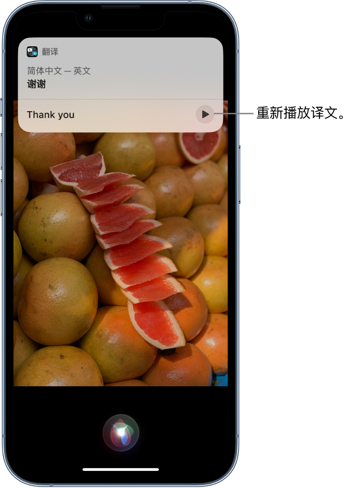 宽甸苹果14维修分享 iPhone 14 机型中使用 Siri：了解 Siri 能帮你做什么 