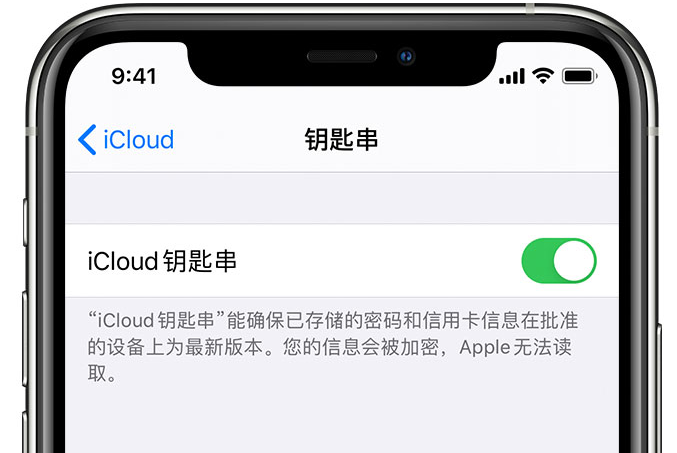 宽甸苹果手机维修分享在 iPhone 上开启 iCloud 钥匙串之后会储存哪些信息 